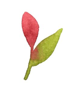 メールの不具合のお知らせ
